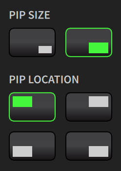 Cast-App-PIP-Controls.png