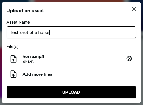 VT-FileDescription.png